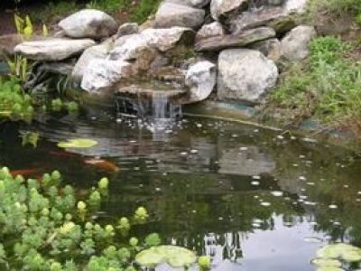 Un bassin de jardin avec cascade