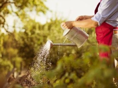 Un jardin d’agrément éco-responsable