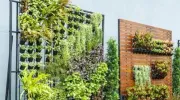 Un jardin vertical sur son balcon