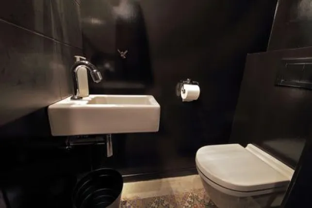Une déco pour des toilettes modernes et design