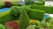 Une haie de jardin persistante